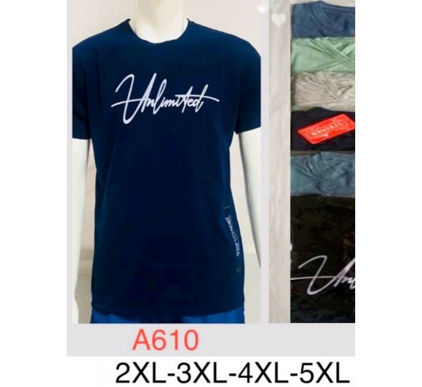 Футболка чоловіча, трикотаж, 5 шт (2-5XL) BL3060_A610