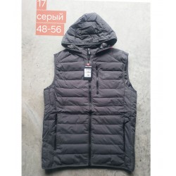 Безрукавка чоловіча, синтепон, 5 шт (48-56 р) BL3060_17b