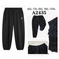 Спорт штани чоловічі 5 шт (6-10XL) мікровельвет/фліс DLD_2435