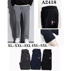 Спорт штани чоловічі 5 шт (1-5XL) фліс DLD_2418