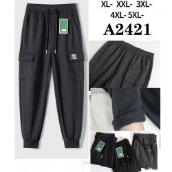 Спорт штани чоловічі 5 шт (1-5XL) фліс DLD_2421