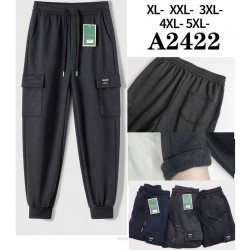 Спорт штани чоловічі 5 шт (1-5XL) фліс DLD_2422