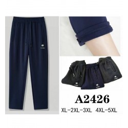 Спорт штани чоловічі 5 шт (1-5XL) фліс DLD_2426