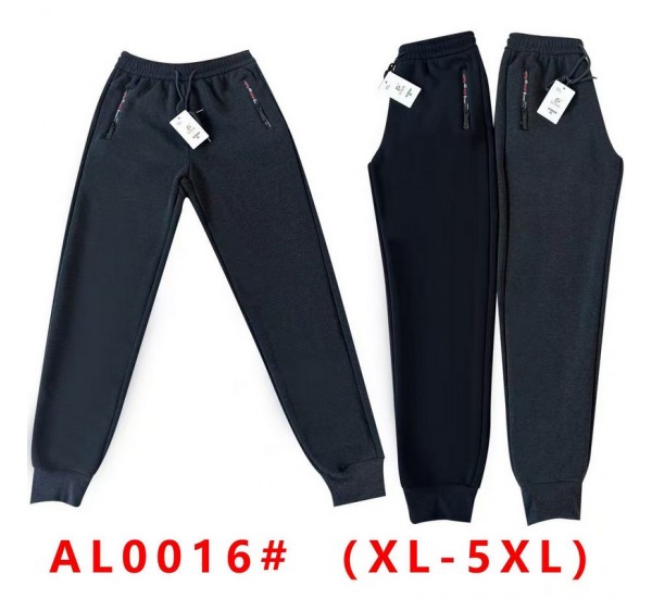 Спорт штаны мужские 5 шт (1-5XL) флис DLD_0016