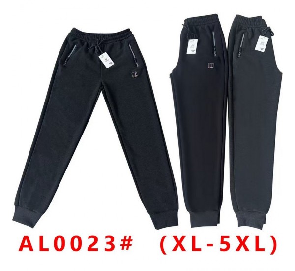 Спорт штаны мужские 5 шт (1-5XL) флис DLD_0023