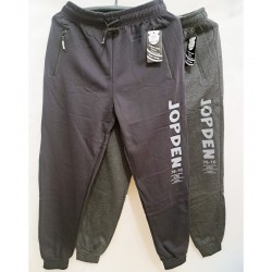 Спорт штани чоловічі 5 шт (M-3XL) фліс DLD_6078