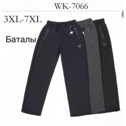 Спорт штани чоловічі 5 шт (3-7XL) трикотаж DLD_7066
