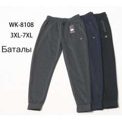 Спорт штани чоловічі 5 шт (3-7XL) трикотаж SeR2152_8108