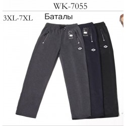 Спорт штани чоловічі 5 шт (3-7XL) трикотаж SeR2152_7055