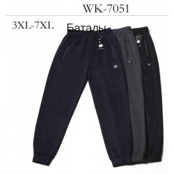 Спорт штани чоловічі 5 шт (3-7XL) трикотаж DLD_7051