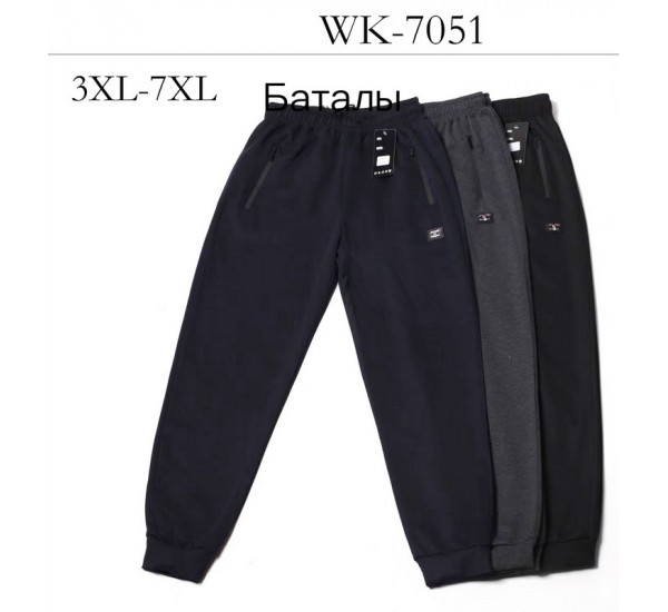 Спорт штани чоловічі 5 шт (3-7XL) трикотаж DLD_7051