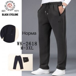 Спорт штани чоловічі 5 шт (M-3XL) фліс DLD_WK-2618