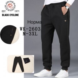 Спорт штани чоловічі 5 шт (M-3XL) фліс DLD_WK-2603