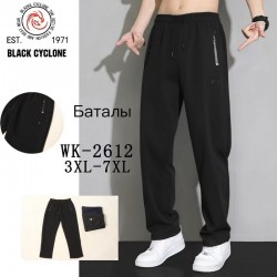 Спорт штани чоловічі 5 шт (3-7XL) фліс DLD_WK-2612