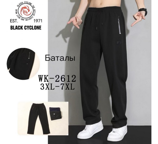 Спорт штани чоловічі 5 шт (3-7XL) фліс DLD_WK-2612