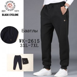 Спорт штани чоловічі 5 шт (3-7XL) фліс DLD_WK-2615