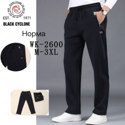 Спорт штани чоловічі 5 шт (M-3XL) фліс DLD_WK-2600
