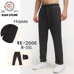 Спорт штани чоловічі 5 шт (M-3XL) фліс DLD_WK-2606