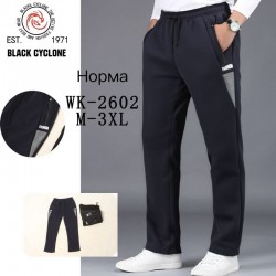 Спорт штани чоловічі 5 шт (M-3XL) фліс DLD_WK-2602
