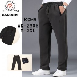 Спорт штани чоловічі 5 шт (M-3XL) фліс DLD_WK-2605