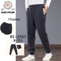 Спорт штани чоловічі 5 шт (M-3XL) фліс DLD_WK-2557