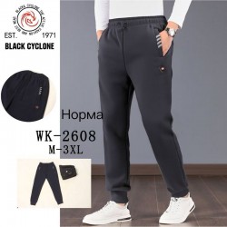 Спорт штани чоловічі 5 шт (M-3XL) фліс DLD_WK-2608