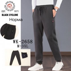 Спорт штани чоловічі 5 шт (M-3XL) фліс DLD_WK-2658
