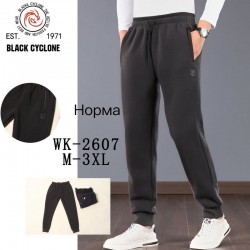 Спорт штани чоловічі 5 шт (M-3XL) фліс DLD_WK-2607