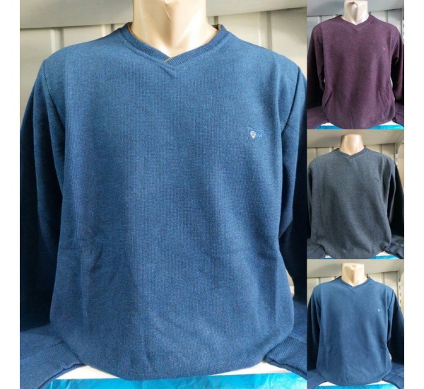 Батник чоловічий, двонитка 4 шт (L-3XL) HR1890_150914