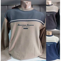 Батник чоловічий, фліс 5 шт (M-3XL) HR1890_200909