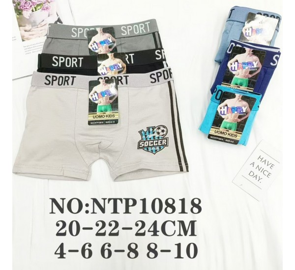 Труси дитячі 12 шт (4-10 років) коттон KiE_NTP10818