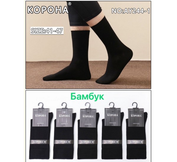 Шкарпетки чоловічі, бамбук 10 шт (41-47 р) KiE_AY244-1