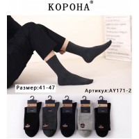 Шкарпетки чоловічі, коттон 10 шт (41-47 р) KiE_AY171-2
