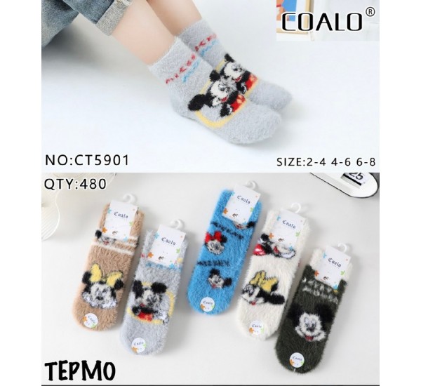 Шкарпетки дитячі 10 шт (2-8 років) велсофт KiE_CT5901