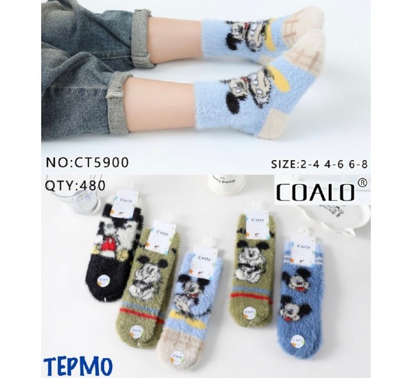 Шкарпетки дитячі 10 шт (2-8 років) велсофт KiE_CT5900