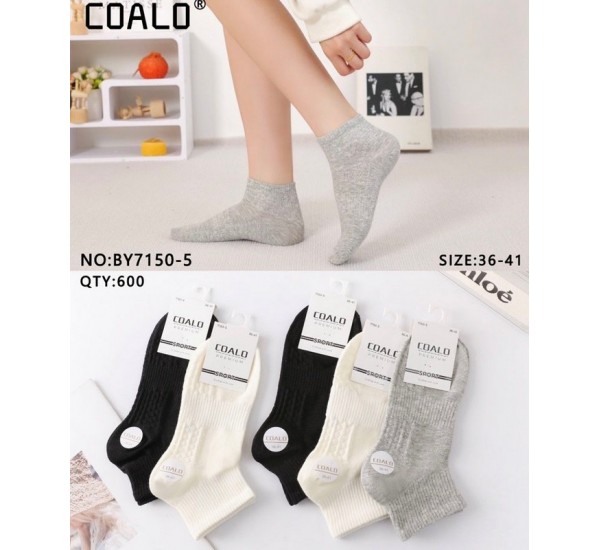Шкарпетки жіночі 10 шт (36-41 р) коттон KiE_BY7150-5