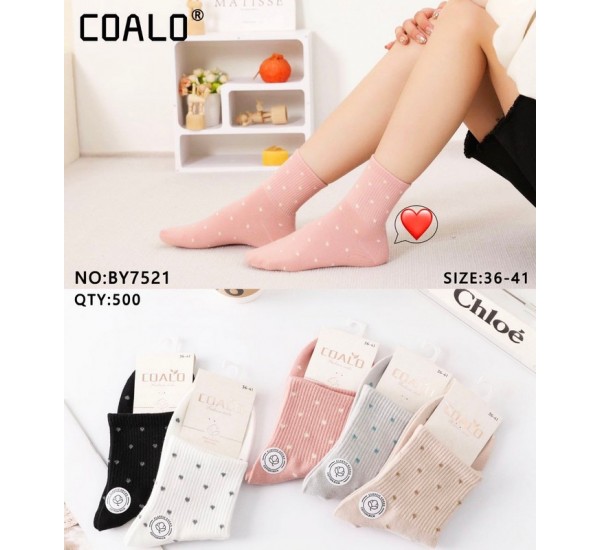 Шкарпетки жіночі 10 шт (36-41 р) коттон KiE_BY7521