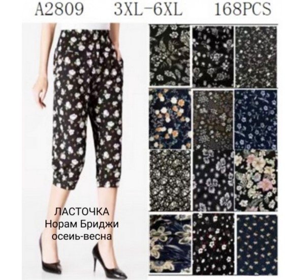 Бриджі жіночі, холодок 12 шт (3-6XL) KiE_A2809