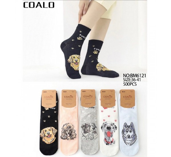 Носки женские 10 шт (36-41 р) коттон KiE_BM6121