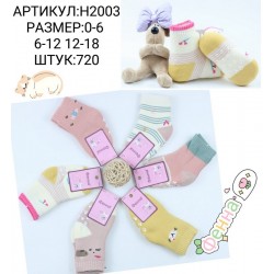 Шкарпетки для немовлят 12 шт (0-18 міс) махра KiE_H2003