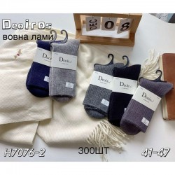 Шкарпетки чоловічі 10 шт (41-47 р) вовна KiE_H7076-2