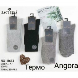 Шкарпетки чоловічі 10 шт (41-47 р) ангора KiE_B613