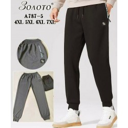Спорт штаны мужские 6 шт (4-7XL) коттон KiE_A787-5