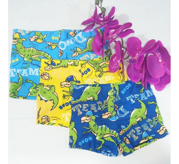 Плавки для хлопчиків, еластан 5 шт (38-46 р) Linn_8746