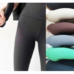 Лосини жіночі 5 шт (S-2XL) рубчик LoS_606a