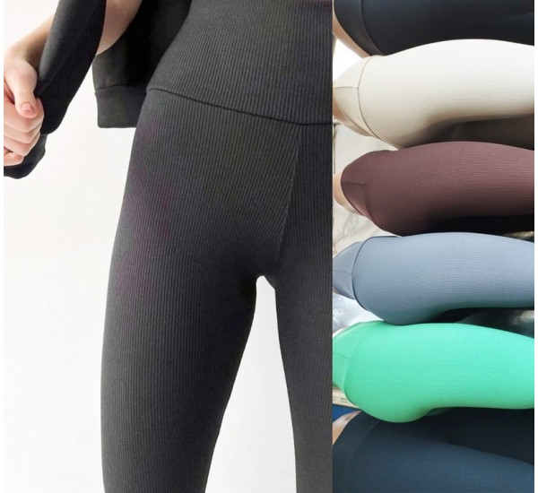 Лосини жіночі 5 шт (S-2XL) рубчик LoS_606a