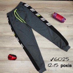 Спорт штани для хлопчиків 4 шт двунитка (12-15 років) MiLi_6025