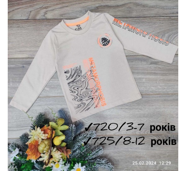 Батник для девочек 5 шт коттон (8-12 лет) MiLi_725a