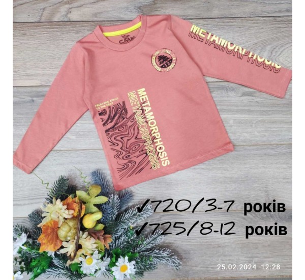 Батник для девочек 5 шт коттон (8-12 лет) MiLi_725b