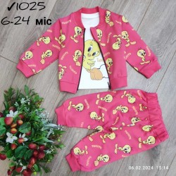 Костюм 3-ка для немовлят 4 шт бавовна (6-24 міс) MiLi_1025e